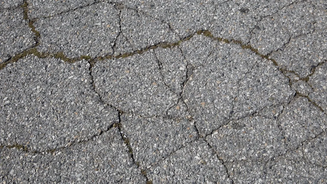 Close-up of a cracked road surface, with weeds growing along the larger cracks