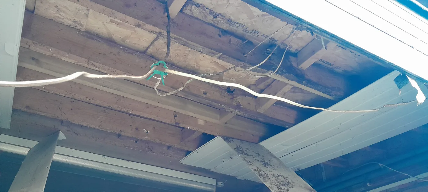 Timber joists and boards seen from below the flat garage roof, with stained and damaged wood